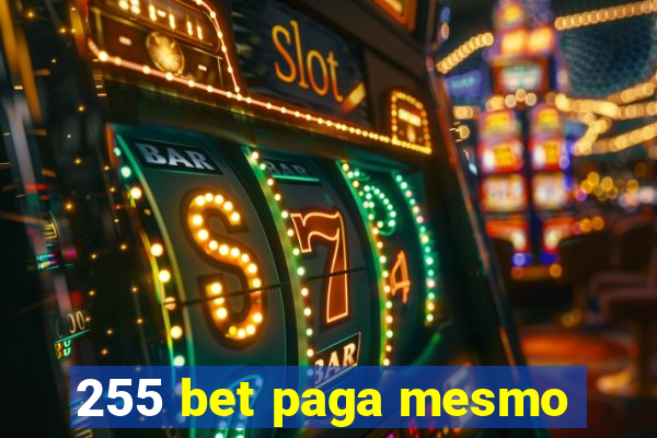 255 bet paga mesmo